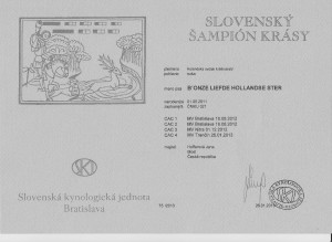 slovensky-sampion-001.jpg